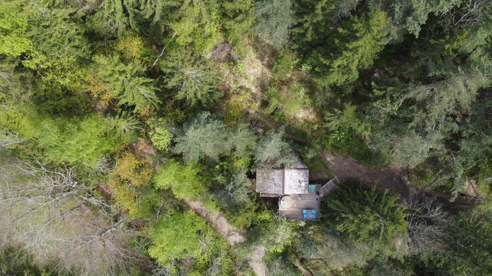 La-Haut Cabanes Perchees La Thuile Εξωτερικό φωτογραφία